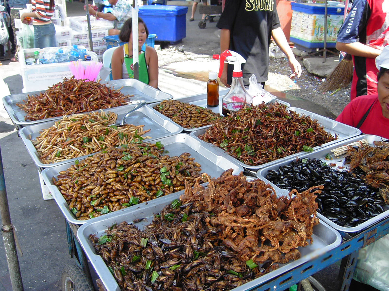 Snacking on Insects: The Bug Carts of Thailand - AsianDate Blog